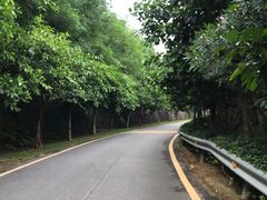 -小南山公园