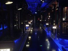 -骑士KTV(红谷滩万达店)