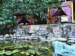 -黄山温泉国际旅游度假区