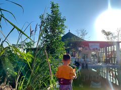 -重庆平顶山公园