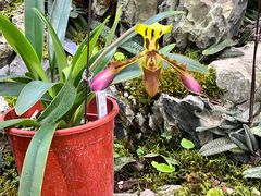 -国家植物园南园