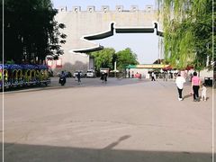 -洛阳市隋唐城遗址植物园