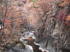 -华福羊汤馆(小市总店)