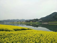 -新安江山水画廊风景区