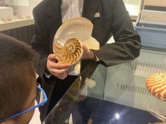 -青岛贝壳博物馆