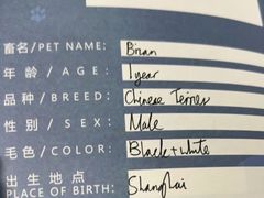 -申普宠物医院·心脏介入·心血管微创(总院)