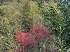 -黄公望隐居地