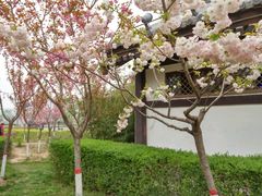 -西安汉城湖景区