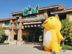 -南宫五洲植物乐园