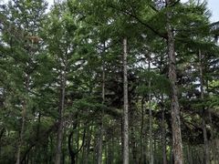 -长春市南湖公园