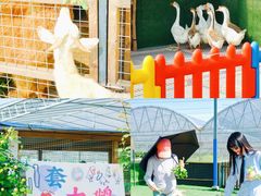 -上海山野camping·户外天幕烧烤·团建拓展营地