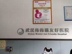 -伟伟宠物医院·瑞派猫友好医院·猫科(光谷店)