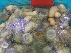 -渔傅·蓝海岸霞浦海鲜(正祥店)