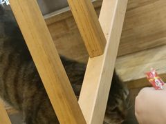 -猫的天空之城概念书店(杭州南宋御街店)