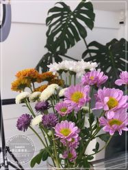 -babiline芭比莱恩半永久纹眉纹唇发际线