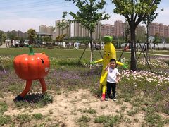 -菊园百果园