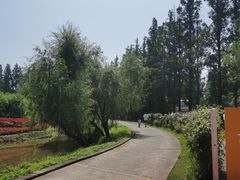 -前小桔亲子创意农场·草莓采摘·露营烧烤