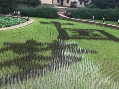 -韶山毛泽东同志故居