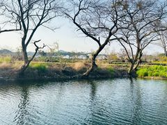 -婺源月亮湾