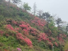 -木兰云雾山