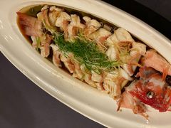 -晶采轩(虹桥路店)