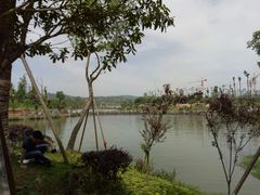 -枫香湖儿童公园