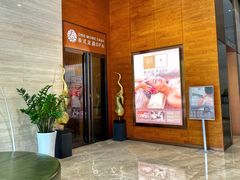 -OMSPA(盛景尚峰店)