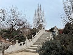 -菖蒲河公园