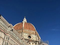 -圣母百花大教堂穹顶