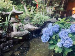 景观位-翠湖里(翠湖南路店)