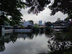 -荔湾湖公园