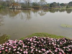 -中国科学院西双版纳热带植物园