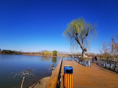 -东郊湿地公园