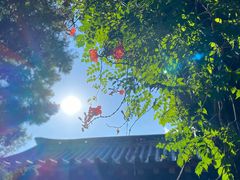 -青岛崂山太清宫