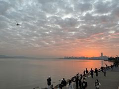 -深圳湾公园(南山区)