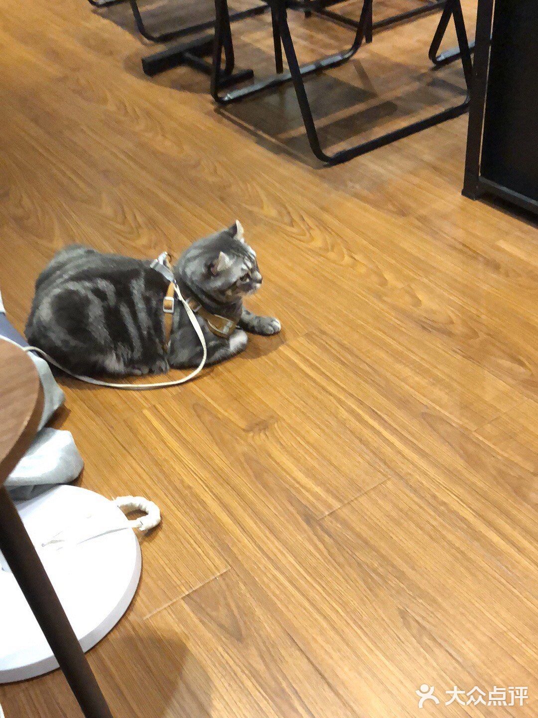 南海意库创意咖啡厅☕️