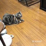 南海意库创意咖啡厅☕️