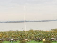 -七的湖·晚芳亭·阳澄湖农家菜·大闸蟹(莲花岛店)