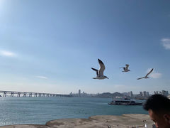 -大连圣亚海洋世界