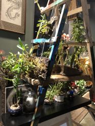 -周忆刺青原创设计定制