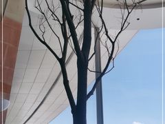 -一棠龙虾•王牌虾球(恒隆广场店)