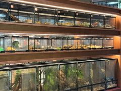 -帕帕拉兹宠物(亚洲旗舰店)