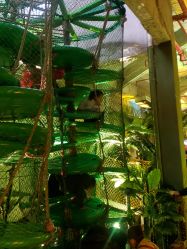 -恐龙探索乐园(磁器口店)