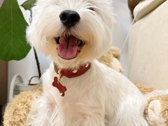 -HEARTISANS手工DIY皮艺体验(安贞环宇荟店)