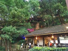 -巴倒烫陆派重庆火锅(南山店)