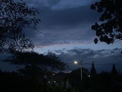 -东平国家森林公园