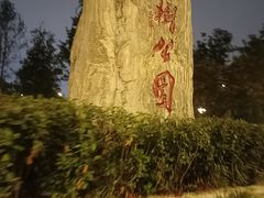 -神仙树公园