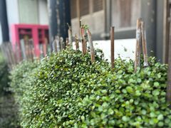 -鸣鹤古镇