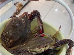-春华海鲜城(广场西苑店)