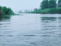 -白洋淀景区